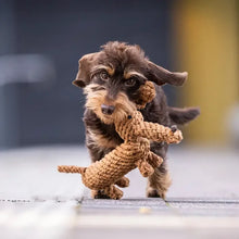 Lade das Bild in den Galerie-Viewer, Öko-Hundespielzeug "Diego Dackel" | 100% Baumwolle &amp; recyclebar | Natürliche Zahnpflege | Fräulein Plath
