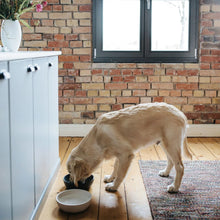 Lade das Bild in den Galerie-Viewer, Nachhaltiger Hundenapf BAMBOO von District 70 |  Nachwachsender Rohstoff &amp; recyclebar | Ice Blue
