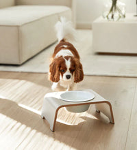 Lade das Bild in den Galerie-Viewer, dogBar® Single Hundenapf | Porzellan | Cashmere Grey | 3 Größen
