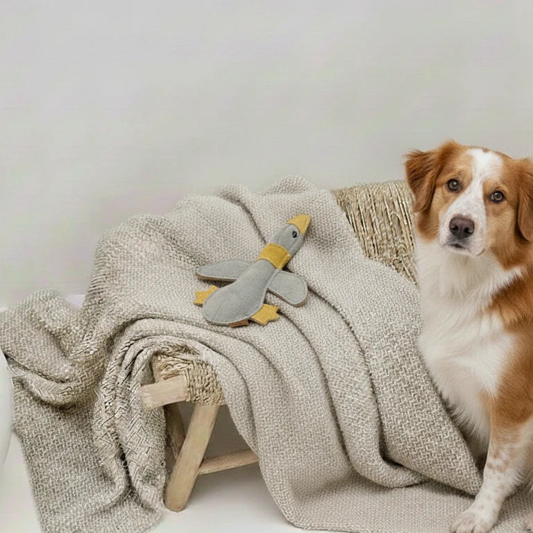 BUDDY. Lederspielzeug Große Ente auf einer hellen Decke auf einer Bank neben einem braun-weißen Hund

