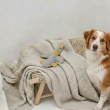 Lade das Bild in den Galerie-Viewer, BUDDY. Leder Hundespielzeug Große Ente - schadstoffgeprüft - inkl. 15% Rabatt Hundetraining Ellen Marques | Fräulein Plath
