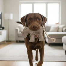 Lade das Bild in den Galerie-Viewer, Nachhaltiges Hundespielzeug &quot;Ella Elefant&quot; | Robust &amp; 100% schadstofffrei | Upcycling Leder &amp; natürliche Baumwolle
