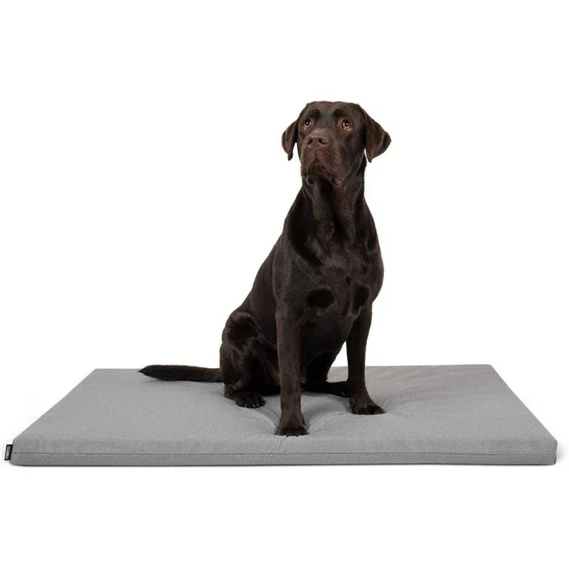 FINNTO® Basic Hundematte ergonomisch | Antiallergen & wasserdicht | FAIRTRADE & Oeko-Tex® Standard | Hellgrau | Fräulein Plath