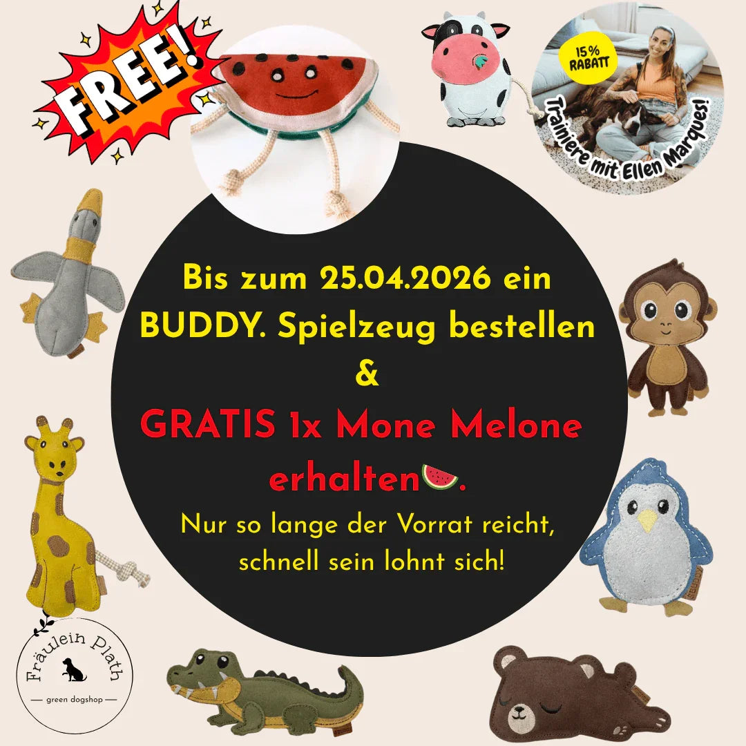 Nachhaltiges BUDDY. Hundespielzeug Leder Mick Möwe - schadstofffrei