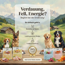 Lade das Bild in den Galerie-Viewer, Uncle Rusty's Lachs mit Kürbis, Haferkleie und Apfel Nassfutter - regionale Zutaten
