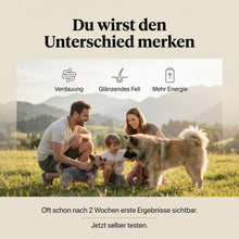 Lade das Bild in den Galerie-Viewer, Uncle Rusty's Rind mit Kartoffeln und Karotten Nassfutter - regionale Zutaten

