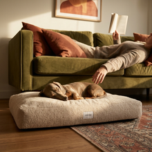 Lade das Bild in den Galerie-Viewer, Hundebett Teddy von Caruso - orthopädisch &amp; recycelt - Oeko-Tex® Standard - 3 Farben &amp; Größen
