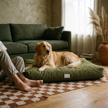 Lade das Bild in den Galerie-Viewer, Hundebett Teddy von Caruso - orthopädisch &amp; recycelt - Oeko-Tex® Standard - 3 Farben &amp; Größen
