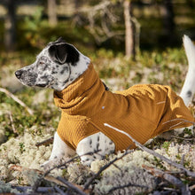 Lade das Bild in den Galerie-Viewer, Wärmende Hundejacke Warming Midlayer ECO von Hurtta |  Super bequem &amp; nachhaltig | Recyceltes ECO-Material | Desert
