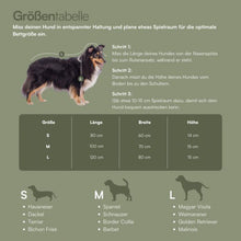 Lade das Bild in den Galerie-Viewer, Hundebett Teddy von Caruso - orthopädisch &amp; recycelt - Oeko-Tex® Standard - 3 Farben &amp; Größen

