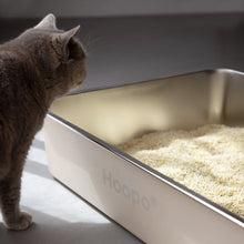 Lade das Bild in den Galerie-Viewer, Edelstahl Katzentoilette HOOPO® Pool | Hygienisch &amp; langlebig | Leichte Reinigung
