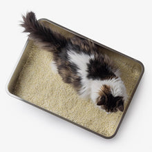 Lade das Bild in den Galerie-Viewer, Edelstahl Katzentoilette HOOPO® Pool | Hygienisch &amp; langlebig | Leichte Reinigung
