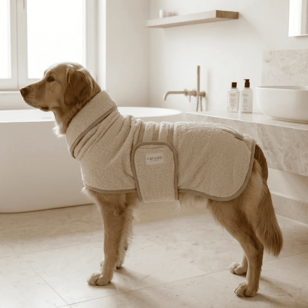 Hundebademantel Cozy Hug von Caruso - OEKO-TEX® zertifiziert - 3 Farben & 6 Größen | Fräulein Plath  - Beige