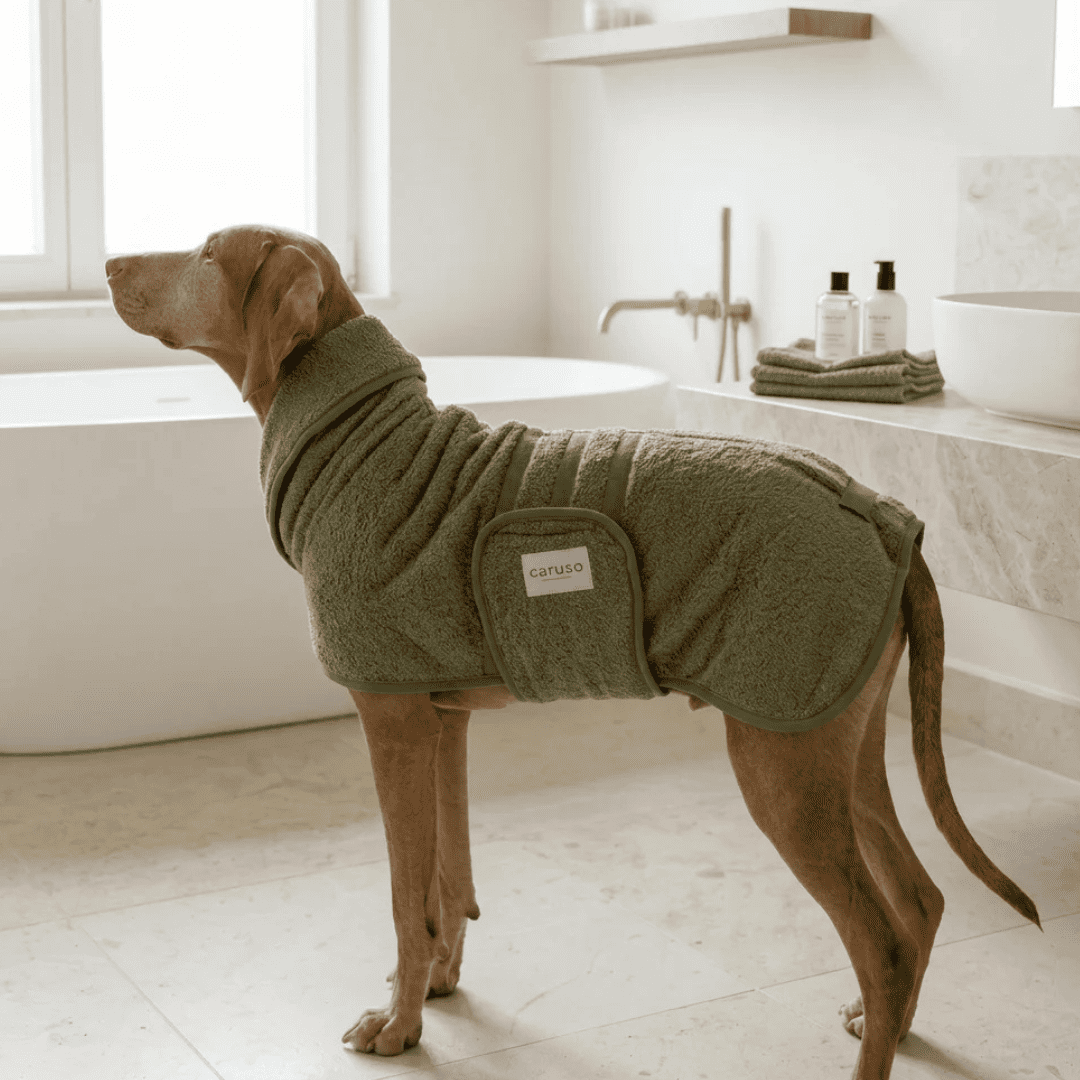 Hundebademantel Cozy Hug von Caruso - OEKO-TEX® zertifiziert - 3 Farben & 6 Größen | Fräulein Plath  - Waldgrün - Frottee - Saugstak