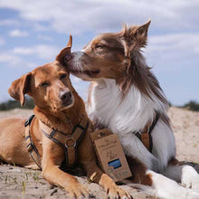 Lade das Bild in den Galerie-Viewer, TSP Recycling Hundekotbeutel | 97 % aus recyceltem Plastik | FSC-Zertifikat &amp; Blauer Engel | 120 Beutel
