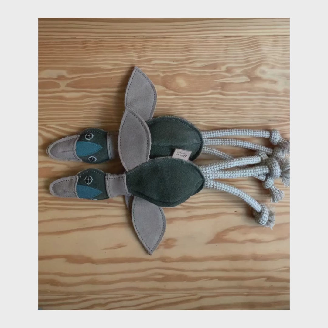 Nachhaltiges Hundespielzeug 