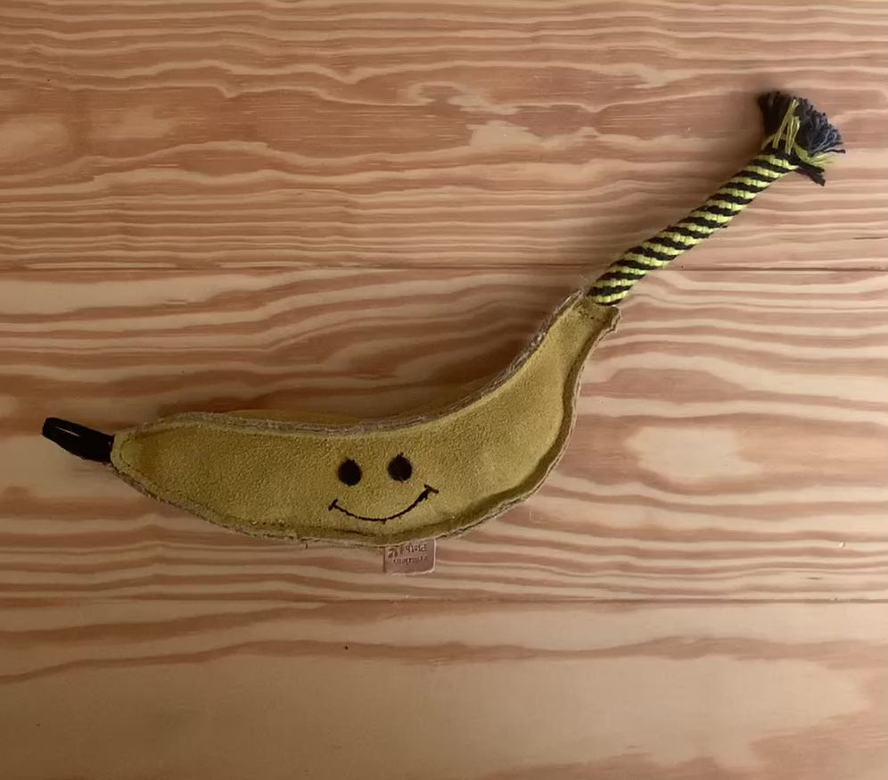 Fräulein Plath Video Barne Banane nachhaltig robust Hundespielzeug Leder unzerstörbar Video