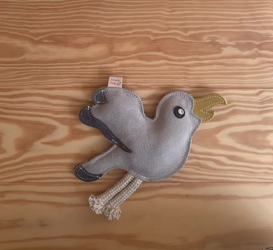 Nachhaltiges Hundespielzeug Mick Möwe schadstofffrei und robust Fräulein Plath Video