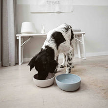 Lade das Bild in den Galerie-Viewer, Nachhaltiger Hundenapf BAMBOO von District 70 |  Nachwachsender Rohstoff &amp; recyclebar | Merengue
