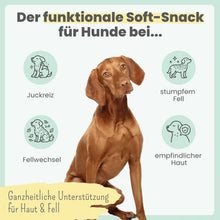 Lade das Bild in den Galerie-Viewer, Noms+ Haut &amp; Fell Komplex für Hunde | Unterstützt die Hautbarriere | Snacks mit Biotin, Zink &amp; Nachtkerzenöl | Vegan &amp; tierleidfrei | 200g
