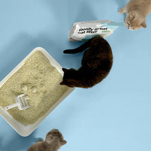 Lade das Bild in den Galerie-Viewer, 2x17L Nachhaltiges Katzenstreu Tofu Natural von HOOPO® | 100% Tofu | Blitzschnelle Klumpenbildung
