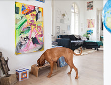 Lade das Bild in den Galerie-Viewer, Futterstation dogBar® | Edelstahl | Nussbaum
